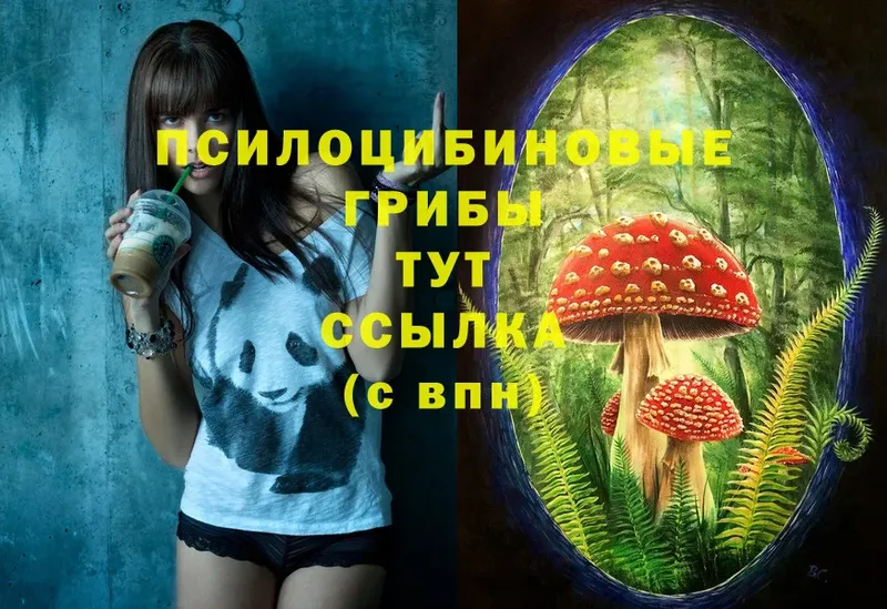 Псилоцибиновые грибы Magic Shrooms  Исилькуль 